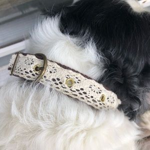 Lace Dog Collar (D)
